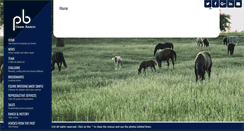 Desktop Screenshot of oasisranchinc.com